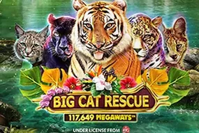 Big Cat Rescue Megaways